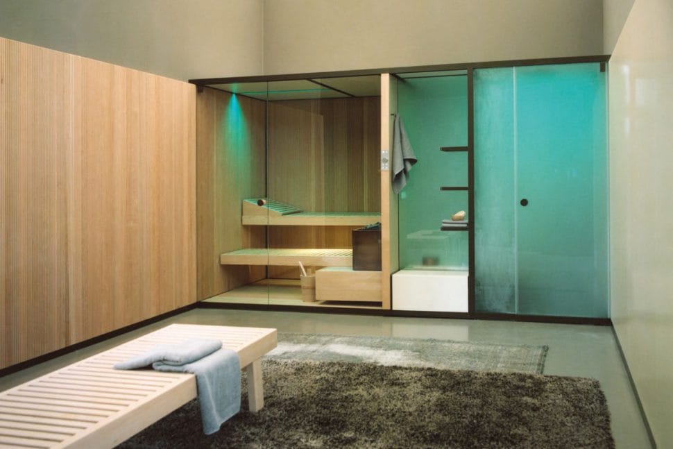 Combined sauna and steam system