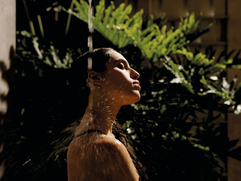wellness shower experience